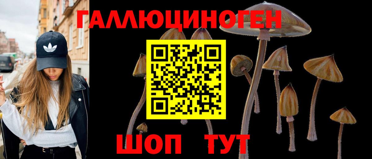 Ленинск-Кузнецкий  Псилоцибиновые грибы MAGIC MUSHROOMS  что такое наркотик  Вход с VPN 